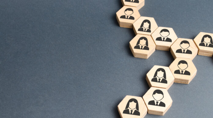 Bestyrelsens organiseringsfunktion
